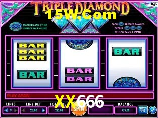 XX666 - Support